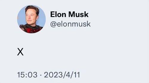 特斯拉与SpaceX：马斯克的双重创新引擎