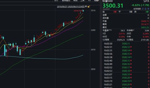 马斯克身价单日暴涨135亿美元，全球富豪榜排名再攀升