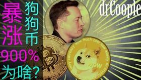 狗狗币与马斯克：一场加密货币的狂欢与争议