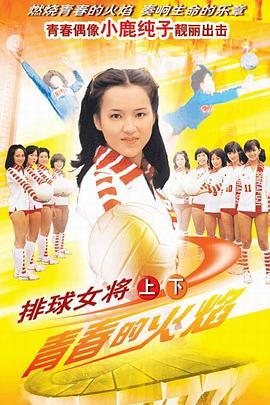 排球女将1979电视剧全71集