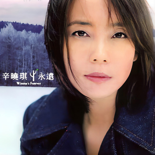 童话歌词-辛晓琪