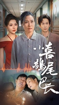 小喜鹊尾巴长短剧全53集