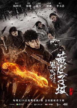 鬼吹灯之黄皮子坟(2017)电视剧全20集