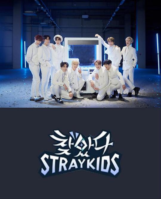 找到了Stray Kids综艺更新至20190502期已完结