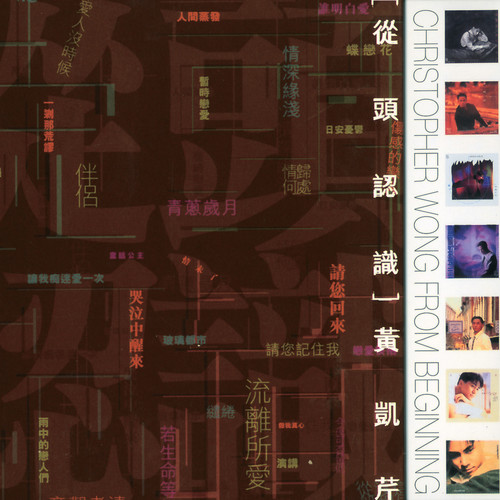情未了歌词-黄凯芹 / 周慧敏