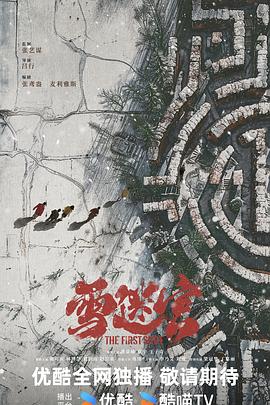 雪迷宫电视剧全32集