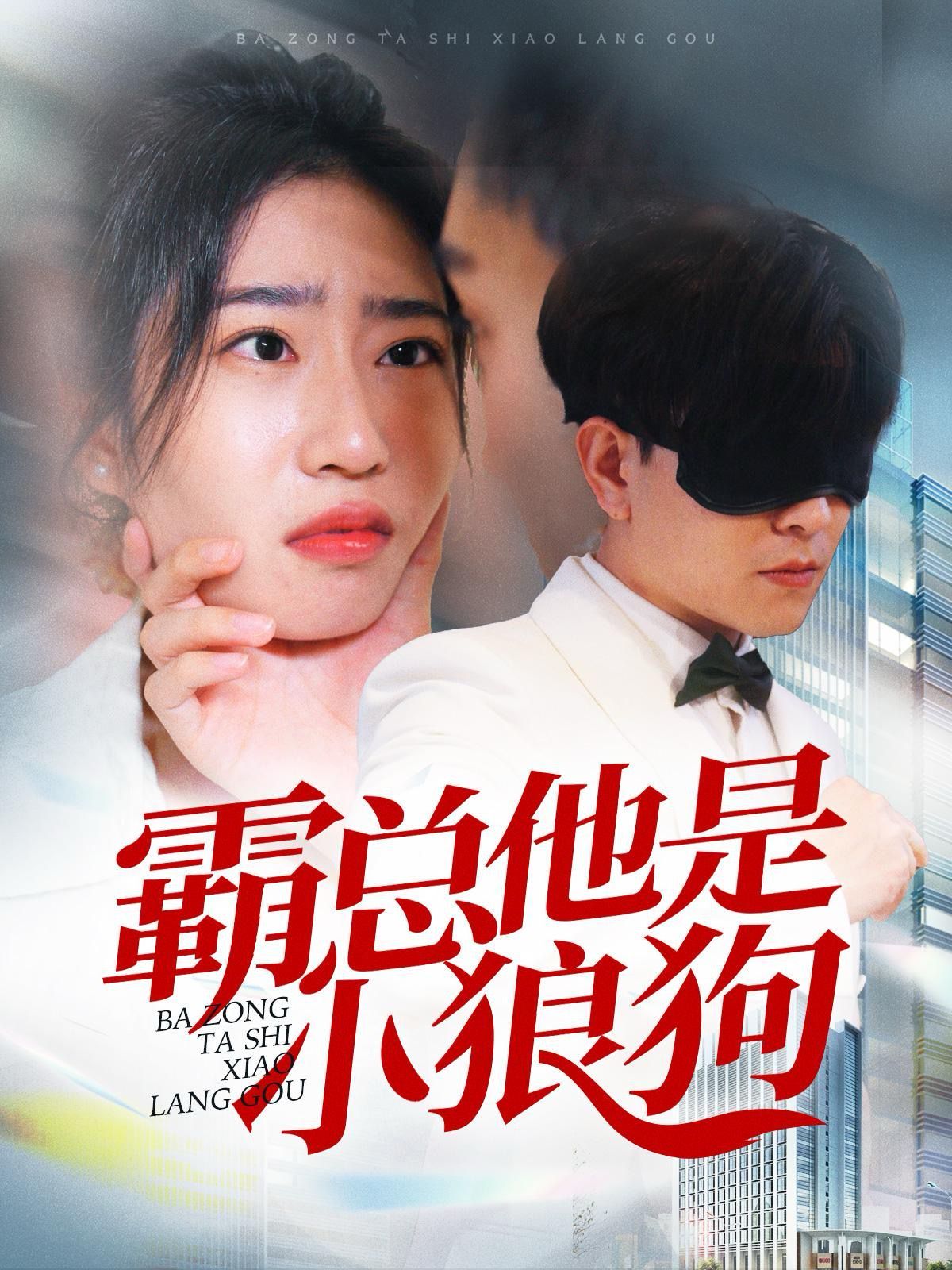 霸总他是小狼狗短剧全31集