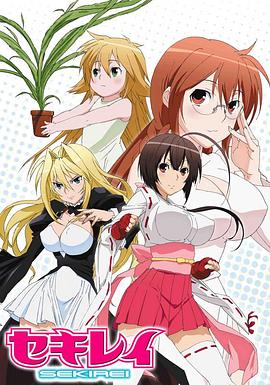 鹡鸰女神动漫12集全
