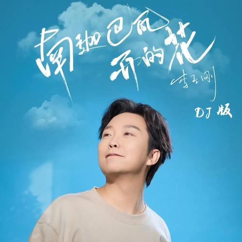 南迦巴瓦开的花 (DJ伟伟版)歌词-李玉刚