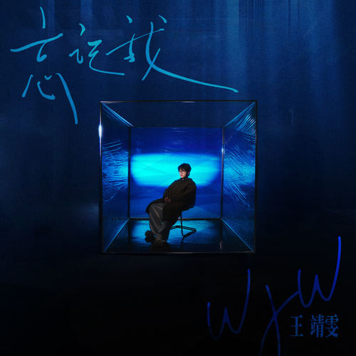 不要说话歌词-王靖雯