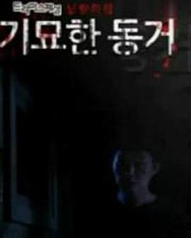 奇妙的同居电影DVD中字