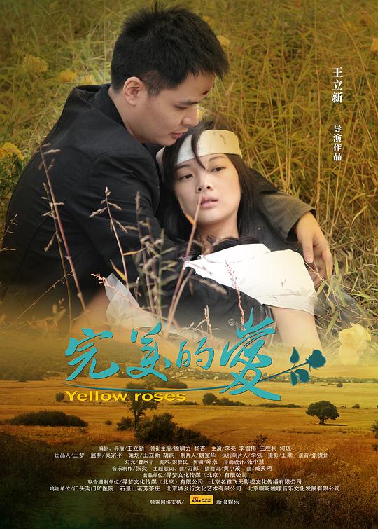 完美的爱电影正片