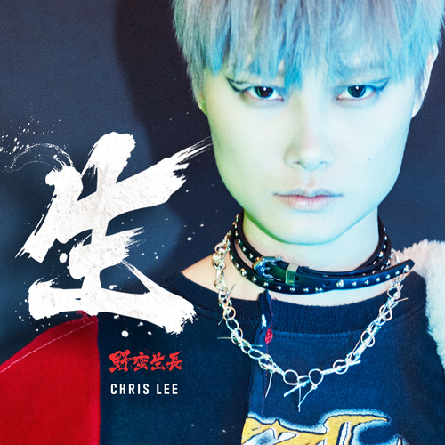 夹克还我歌词-李宇春