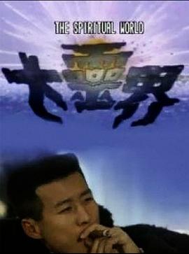 大灵界国语电视剧全15集