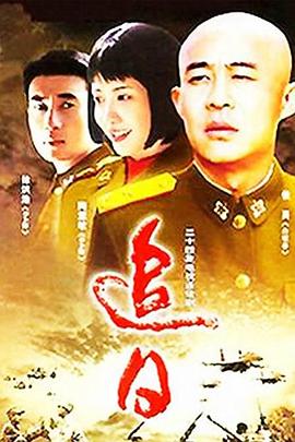 追日2004电视剧全24集