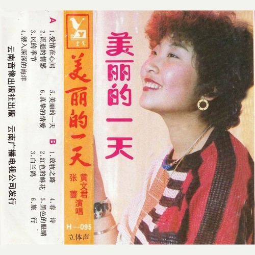 流逝的爱情歌词-张蔷