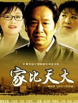 家比天大电视剧全31集