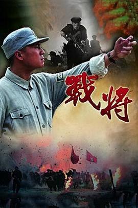战将电视剧全30集