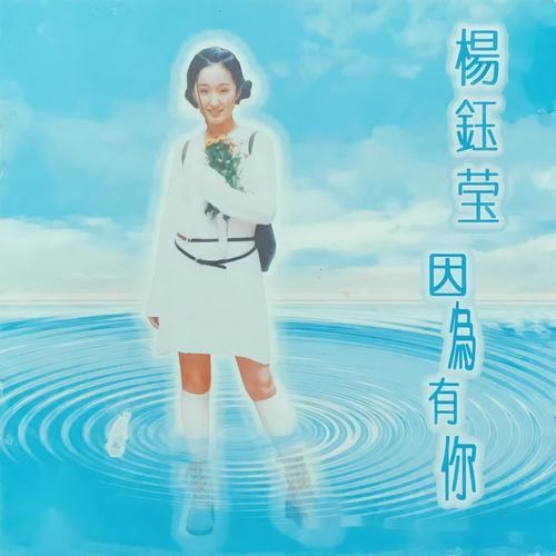 落花歌词-杨钰莹
