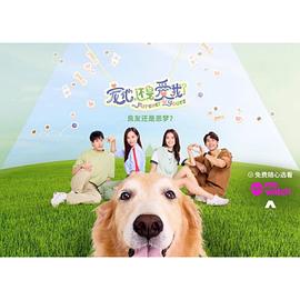 宠他,还是爱我?电视剧全20集