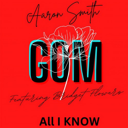 All I Know (Frank Delour Radio Remix)歌词-Aaron Smith / Bridget Flowers / Frank Delour
