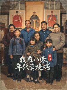 穿越六零带着好运系统养全家 我在八零年代卖烧烤前传短剧全28集