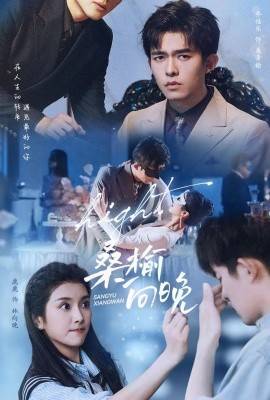 桑榆向晚短剧全集