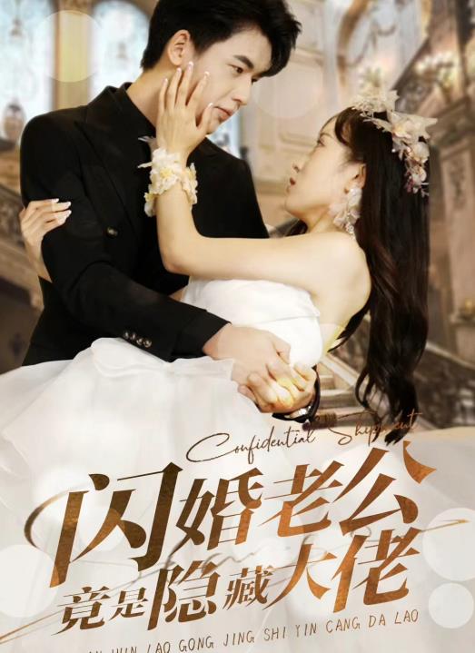 闪婚老公竟是隐藏大佬短剧全60集