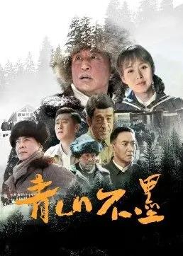 青山不墨电视剧全34集