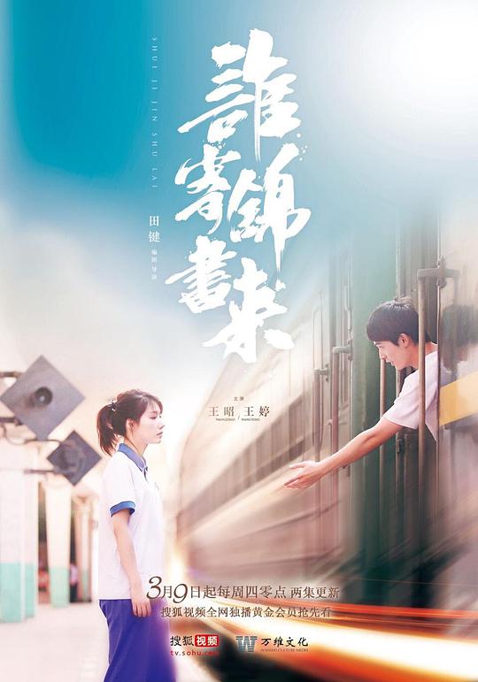 谁寄锦书来电视剧全12集