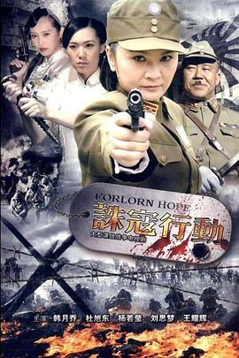 诛寇行动电视剧全31集
