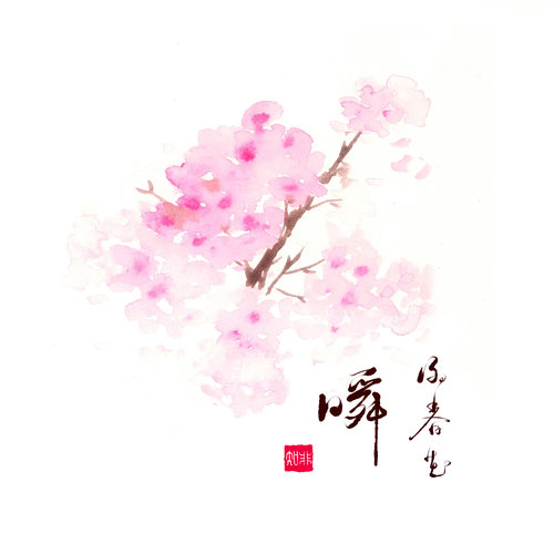 瞬歌词-谢春花