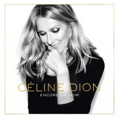 Toutes ces choses歌词-Céline Dion