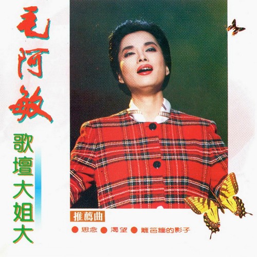 篱笆墙的影子歌词-毛阿敏