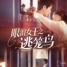 眼泪女王之逃笼鸟短剧全89集