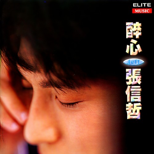 不会让你后悔歌词-张信哲