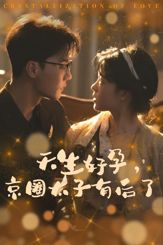 天生好孕京圈太子有后了 你与光共落人间短剧全29集