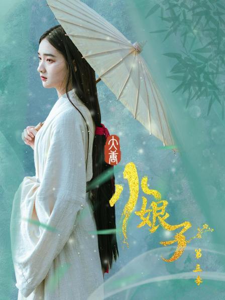 大唐小娘子第三季电视剧全30集