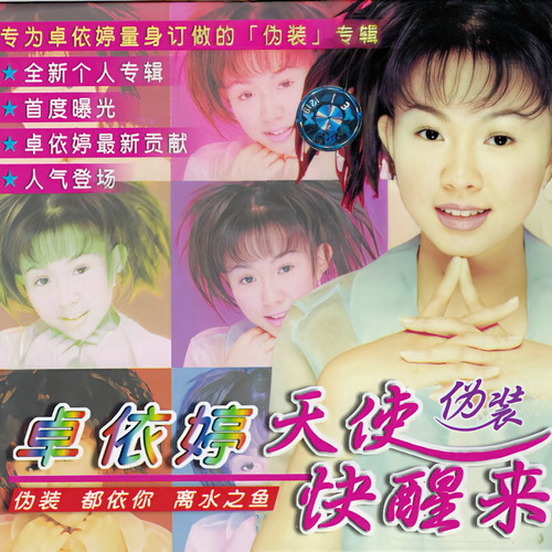 从来都不知道歌词-卓依婷