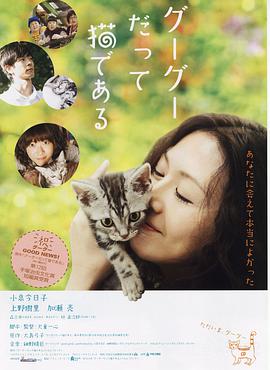 咕咕是一只猫电影正片