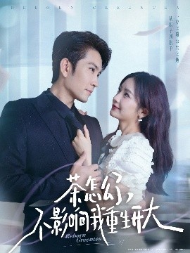 茶怎么了不影响我重生开大短剧全80集