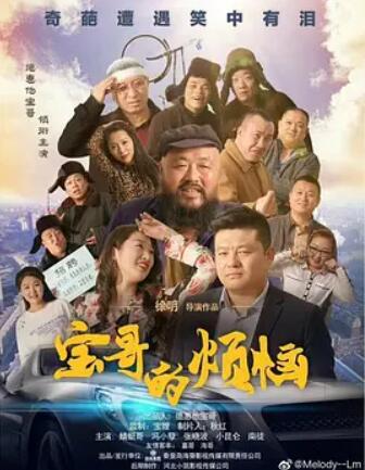 宝哥的烦恼电影HD国语版