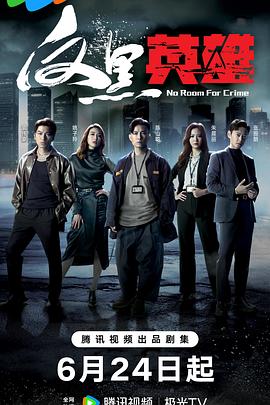 反黑英雄(国语)电视剧更新至25集