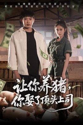让你养猪，你娶了顶头上司短剧全70集