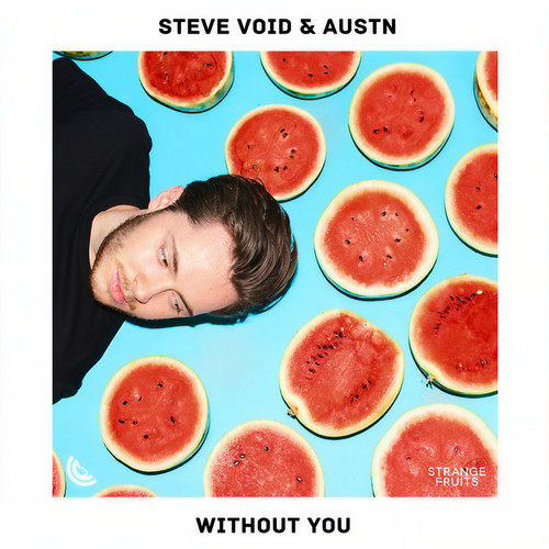 Without You歌词-Steve Void / Austn