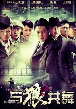 与狼共舞(2012)电视剧全40集