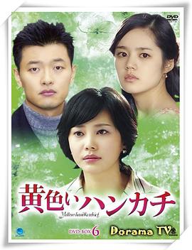 黄手帕国语电视剧全128集