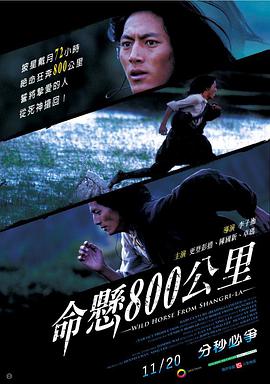 命悬800公里电影HD国语版